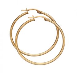 Gold Hinged Hoop Earrings